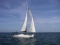Barco de alquiler y charter Beneteau Oceanis 500 - 001